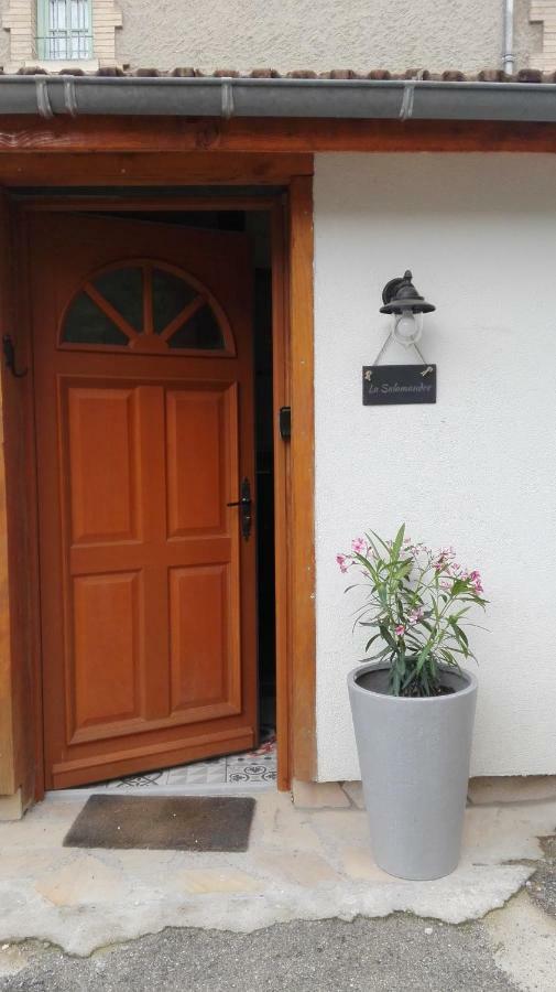 Maison Centre Ville Parking Prive Ax-les-Thermes Luaran gambar
